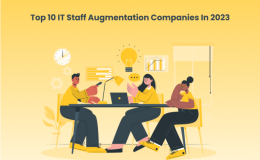 IT Staff Augmentation